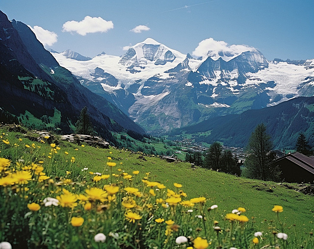 Търговският излишък на Швейцария се сви през март